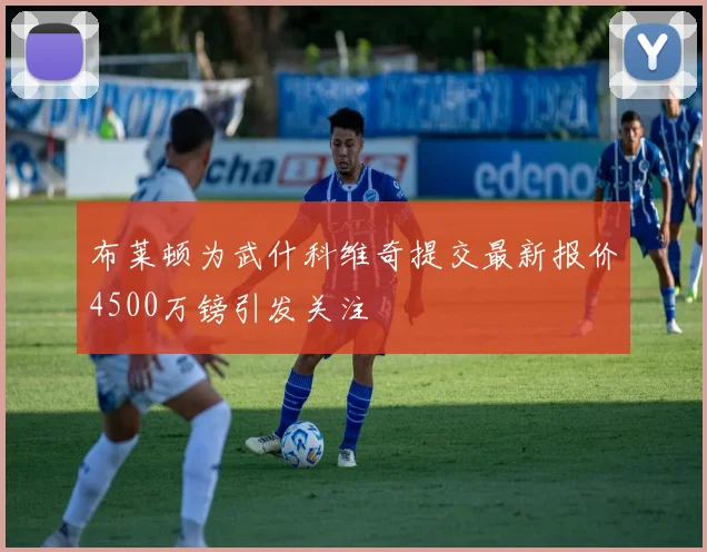 布莱顿为武什科维奇提交最新报价4500万镑引发关注