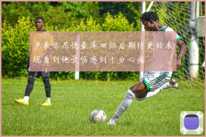 卢表示尼德豪泽回归后期待更好表现看到他受伤感到十分心痛